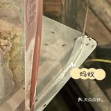 胡桃里真是只能图氛围感了