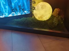 -西塔老太太泥炉烤肉(上海七宝领展广场店)