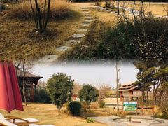 -东海森林温泉