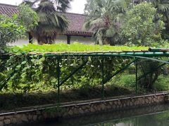 -丝绸小镇荻港古村