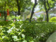 -荔湾区儿童公园