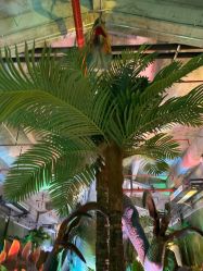 -恐龙探索乐园(磁器口店)