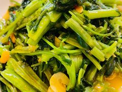 泰式空心菜-荷花泰菜(东方新天地店)