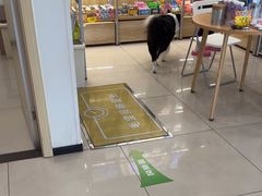 -艾贝尔宠物医院 ·中兽医·宠保定点(北门桥店)