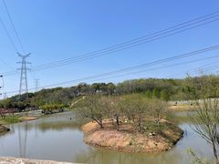 -佛手湖郊野公园