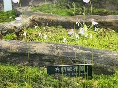 -国家植物园南园