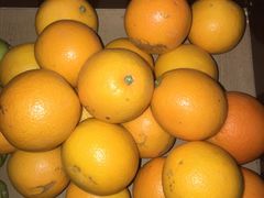 -鲜丰水果(九洲新世界花苑店)