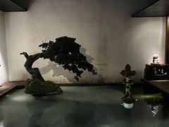 -觀芷隐轩