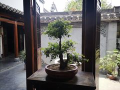 -不倒翁·徽天下名菜楼(马鞍山路店)