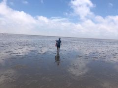 -南汇嘴观海公园