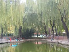-丰台花园