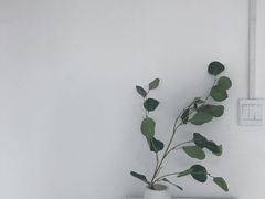 -乐汇城