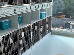 -北京恒爱动物医院(清景园分院)