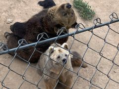 -石家庄市动物园