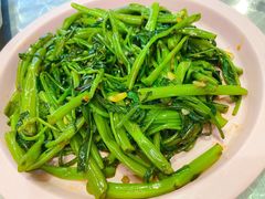-广州白云国际机场-T2航站楼
