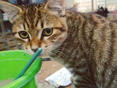 -一品格美术·中考高中成人美术培训