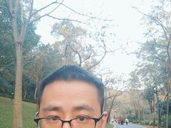 -云溪植物园