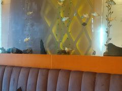 -Acqua海蓝意大利餐厅