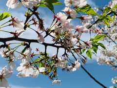 -东山风景区(洞庭东山)