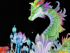 -花博汇(知音花月夜)