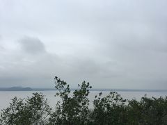 -巢湖姥山岛