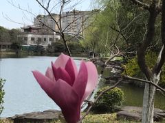 -范蠡湖公园