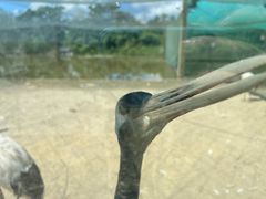 -盐城丹顶鹤湿地生态旅游区