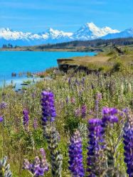 -美肤盾祛痘·问题肌头疗管理中心