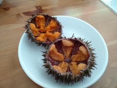 -海胆小馆(东北水饺·春柳店)