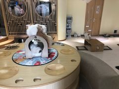 -猫和宫(六道口店)