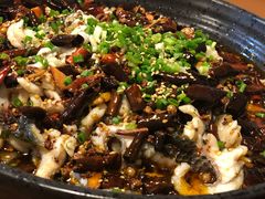 -三猫黑鱼花(南大店)