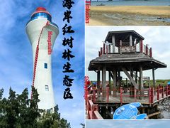 -北海金海湾红树林生态旅游区