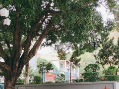 -伦教678文化街
