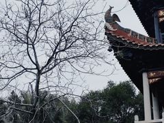 -南岳大庙