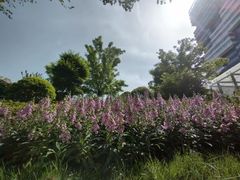 -西安电影制片厂