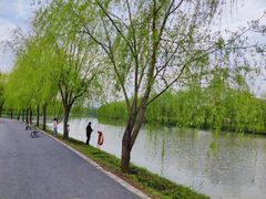 -广富林郊野公园