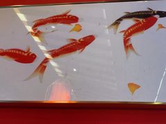 -饕然·民间川菜(龙泉店)