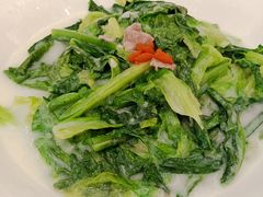 -金满楼(天河中路店)