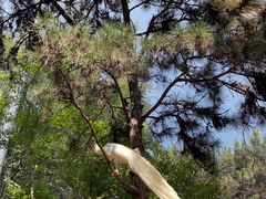 -燕塞湖鸟语林景区