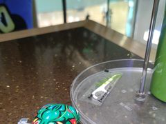 -蛙喔牛蛙(高新绿宝店)
