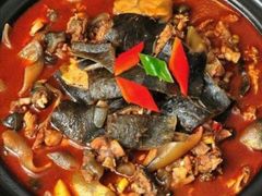 河塘甲鱼-元银甲·湖北地标美食(汉阳店)