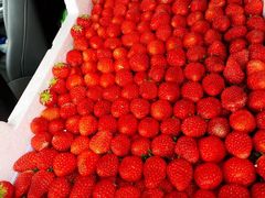 -西郊国际农产品交易中心