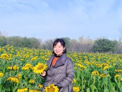 -汉长安城未央宫国家考古遗址公园