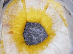 橙意圈圈-奈雪的茶(市百一店)