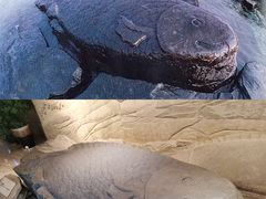 -白鹤梁水下博物馆