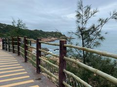 -广东惠东海龟国家级自然保护区