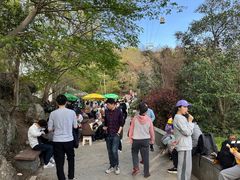 -紫金山山顶公园