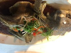 -四川小胡子海鲜(丁村万人海鲜广场店)