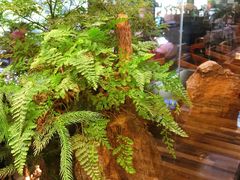 -泰谷酒店·太古码头闽菜自助餐厅