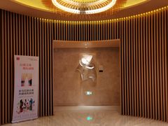 -苏州金鸡湖文博诺富特酒店